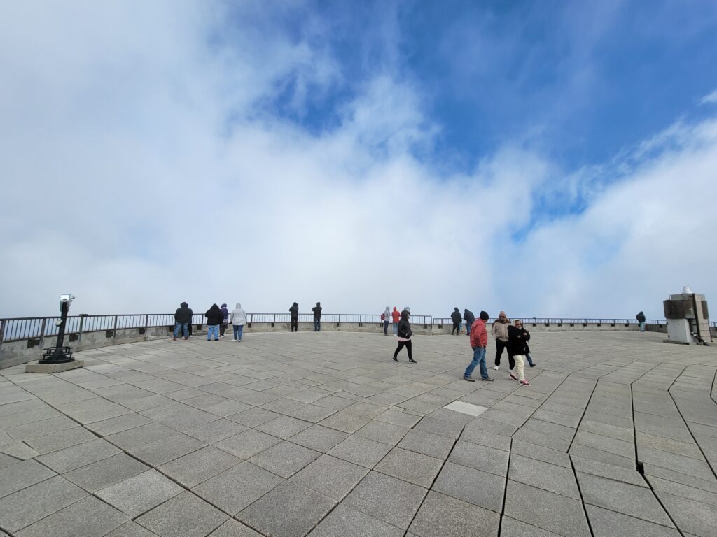 Feature image